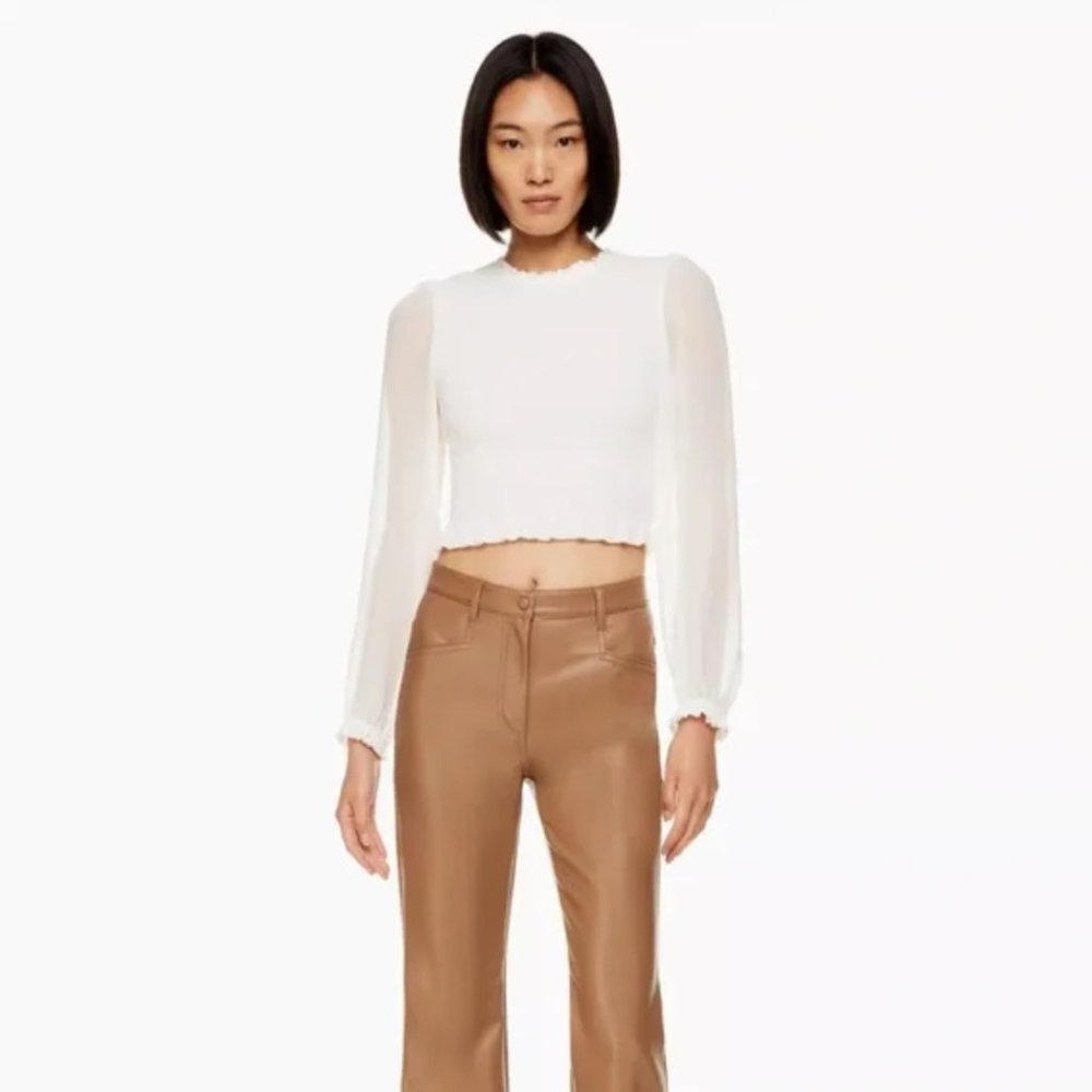 Aritzia Wilfred Tempest Top